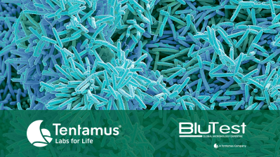 Biofilm Article 2