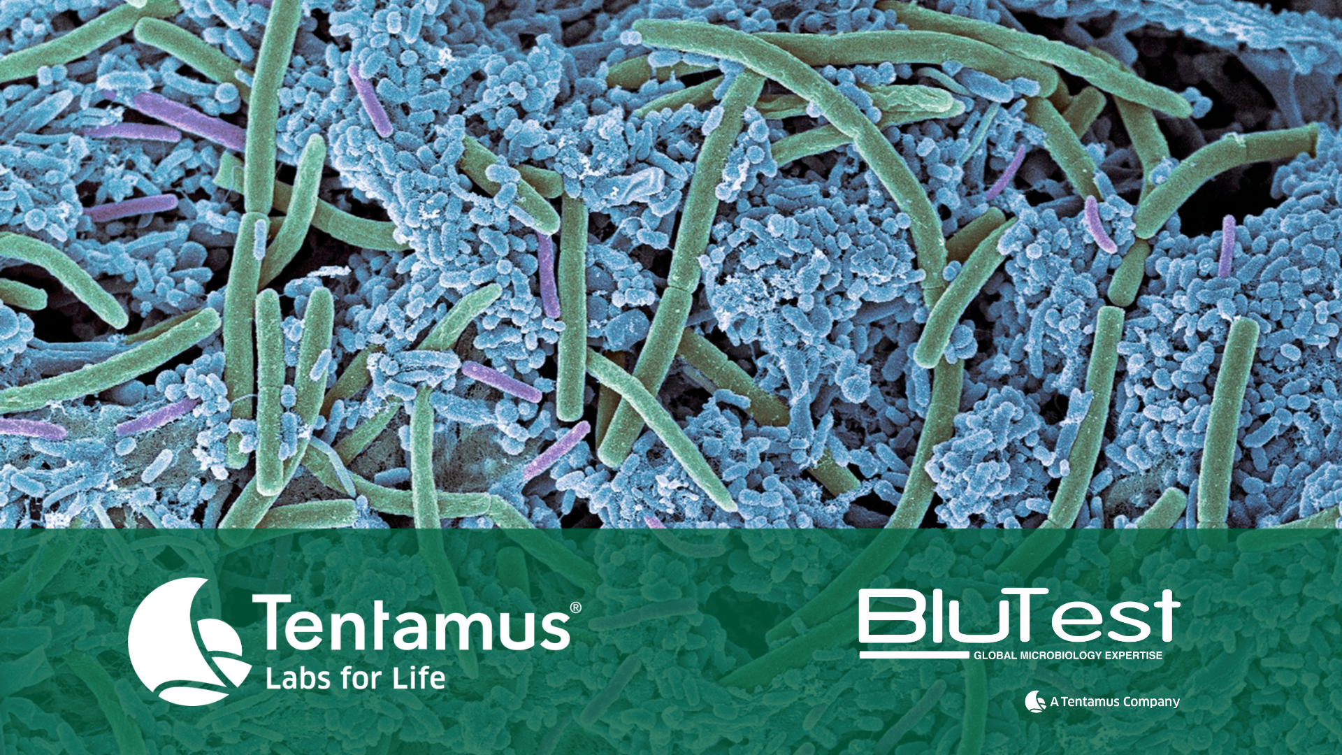 Biocide Resistance, Biofilms, and AMR: Why Scientific Testing is ...